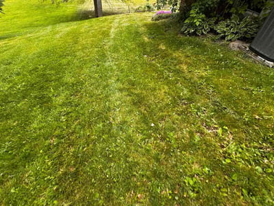 Lawn care service in Massillon, 44647