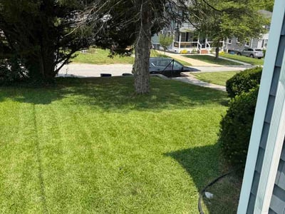 Lawn care service in Timonium, 21093