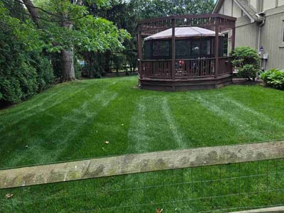 Lawn care service in Sylvania, 43560