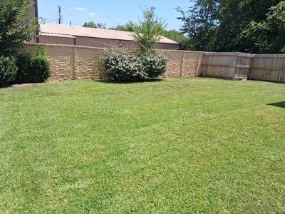 Lawn care service in Fort Worth, 76244