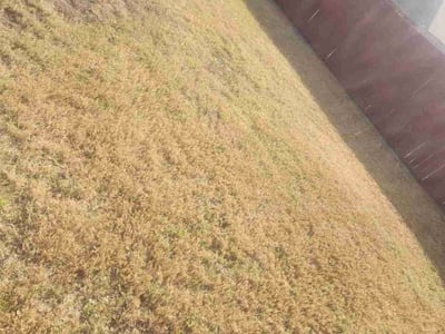 Lawn care service in Plano, 75023