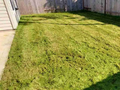 Lawn care service in Magnolia, 77354