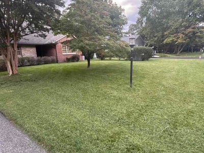 Lawn care service in Severna Park, 21146