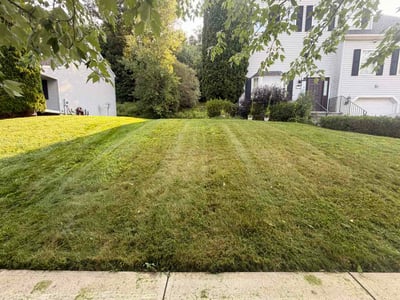Lawn care service in Middletown, 06457