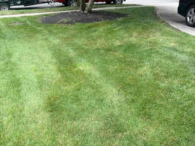 Lawn care service in Columbus, 43230
