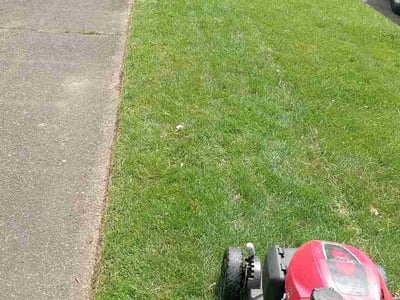Lawn care service in Portland, 97203