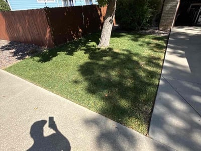 Lawn care service in Parker, 80134