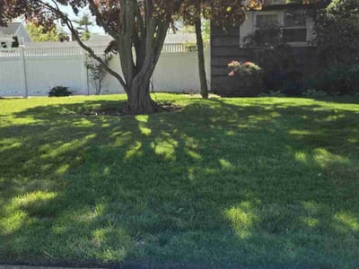 Lawn care service in Freeport, 11520