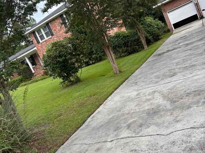 Lawn care service in Columbia, 29209