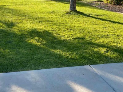 Lawn care service in Aurora, 80016