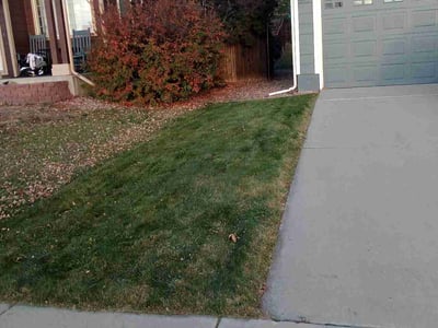 Lawn care service in Colorado Springs, 80922