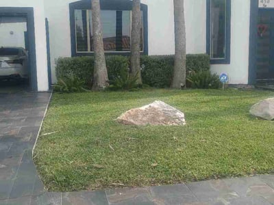 Lawn care service in McAllen, 78504