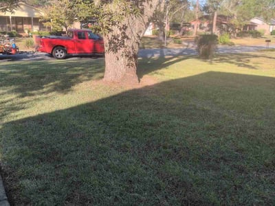 Lawn care service in Albany, 31707