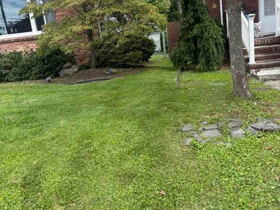 Lawn care service in Kingston, 18704