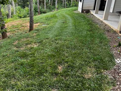 Lawn care service in Asheville, 28803