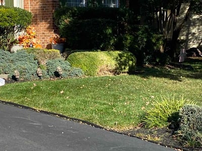 Lawn care service in Manassas Park, 20111