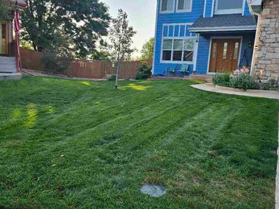 Lawn care service in Thornton, 80233