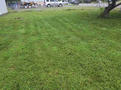 Lawn care service in Pemberton Township, 08015