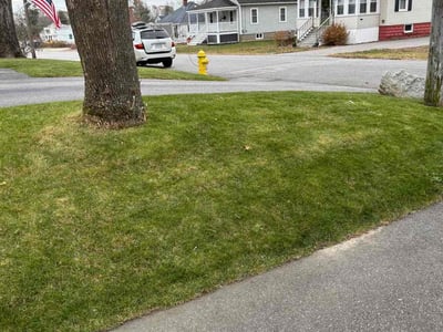 Lawn care service in Saco, 04072