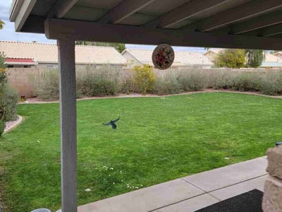 Lawn care service in Chandler, 85225