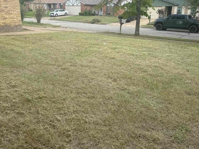 Lawn care service in Arlington, 76016