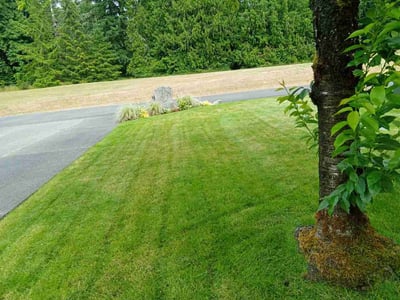 Lawn care service in Olympia, 98512