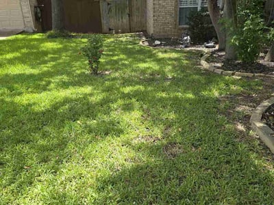 Lawn care service in San Antonio, 78258