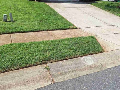 Lawn care service in Charlotte, 28216