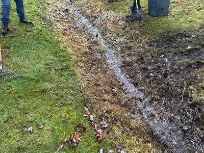 Lawn care service in Lynnwood, 98037
