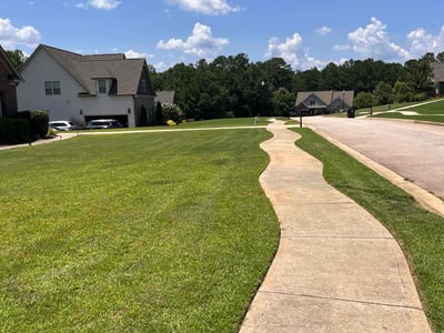 Lawn care service in Locust Grove, 30248
