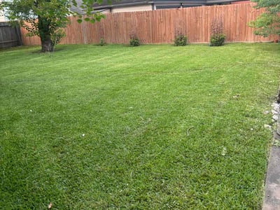 Lawn care service in Houston, 77042