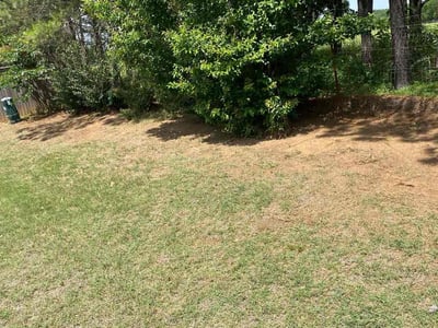 Lawn care service in , 