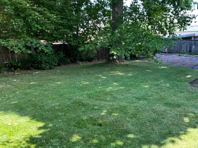 Lawn care service in Burien, 98166