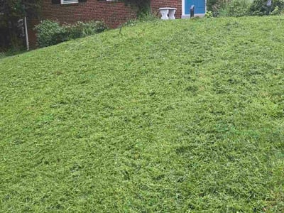 Lawn care service in McLean, 22101