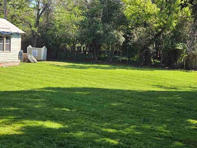 Lawn care service in Sacramento, 95821