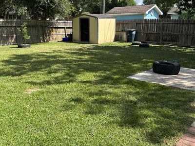 Lawn care service in Sugar Land, 77498