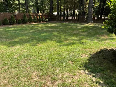 Lawn care service in Wake Forest, 27587
