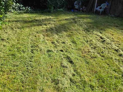 Lawn care service in Rochester, 14620