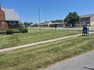 Lawn care service in Buffalo, 14225