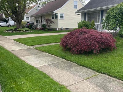 Lawn care service in Erie, 16508