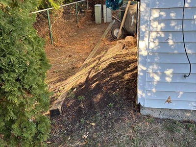 Lawn care service in Clinton Township, 48038