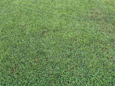 Lawn care service in Riverdale, 30274