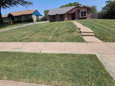 Lawn care service in Garland, 75041
