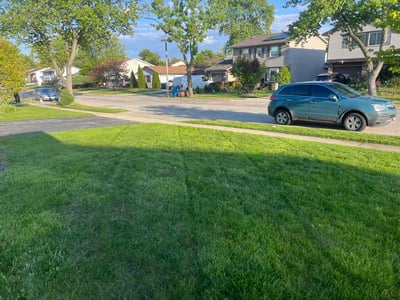 Lawn care service in Glendale Heights, 60139