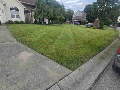 Lawn care service in Cincinnati, 45244