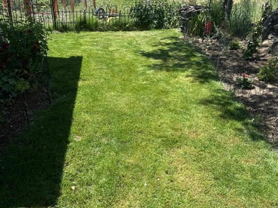 Lawn care service in Boise, 83702