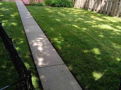 Lawn care service in Minneapolis, 55423