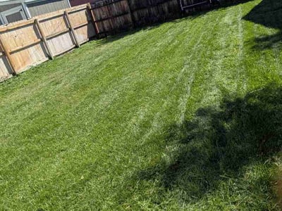 Lawn care service in Denver, 80223