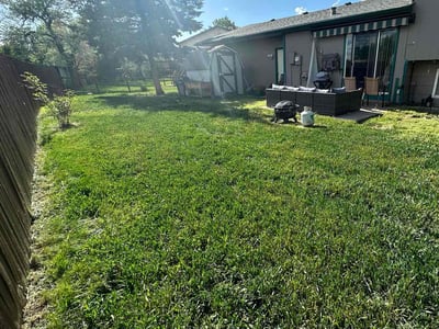 Lawn care service in Lakewood, 80227