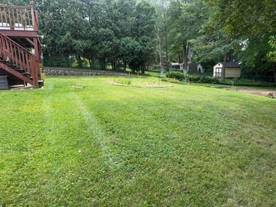 Lawn care service in Meriden, 06451
